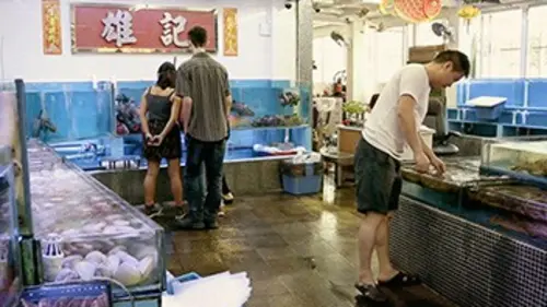 Paysans du monde : la révolution agriculturelle Hong Kong : ferme d'élevage de poissons