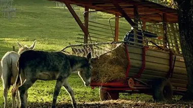 Suisse : la permaculture