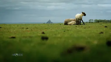 Italie : Les pâtes