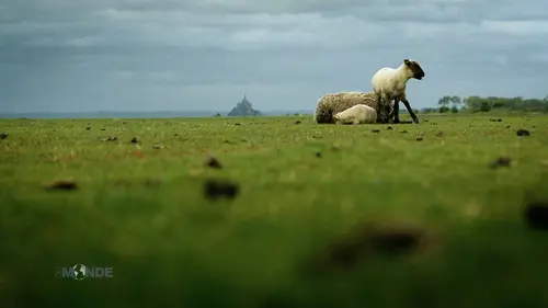 Paysans du monde Italie : Les pâtes