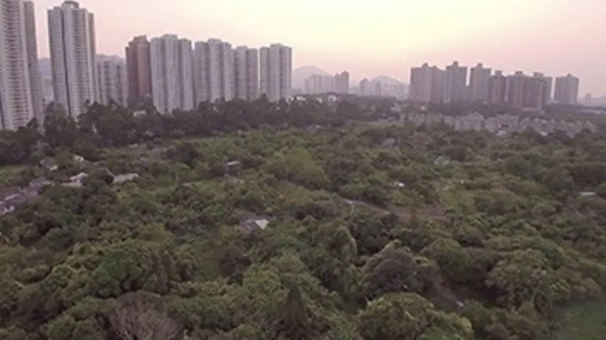 Paysans du monde : la révolution agriculturelle Hong Kong : l'agriculture urbaine