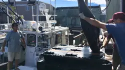 Pêche à haut risque S07E13 À l'assaut du trône