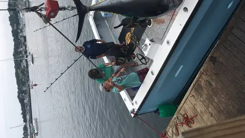 Pêche à haut risque S09E12 La mafia des ananas