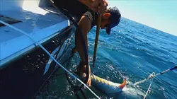 Pêche à haut risque S10E05 Maître du thon