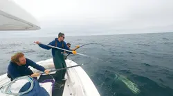 Pêche à haut risque  S11E02 Hors de contrôle