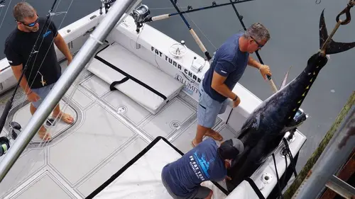 Pêche à haut risque S11E03 Le poids de la victoire