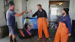 Pêche à haut risque S11E09