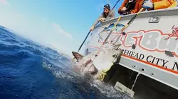 Pêche à haut risque