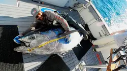 Pêche à haut risque