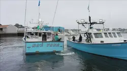 Pêche à haut risque