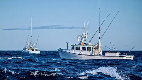 Pêche à haut risque S10E13 Chasse aux prises