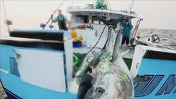 Pêche à haut risque