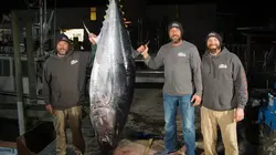 Pêche à haut risque