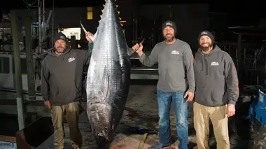 Nord contre sud - Terreur des quotas