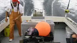 Visuel de Pêche à haut risque