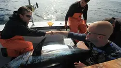 Pêche à haut risque S02E04 Shark Attack !