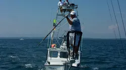 Pêche à haut risque : Nord contre Sud E11 Le poisson miracle