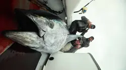 Pêche à haut risque : Nord contre Sud S07E16 Pas une minute à perdre