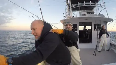 Petit bateau, énorme thon
