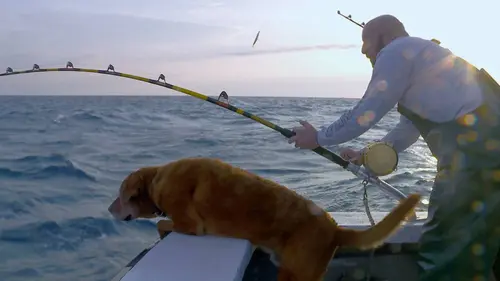 Pêche à haut risque : Nord contre Sud E07 La revanche du sud
