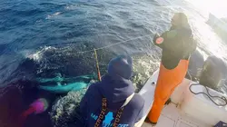 Pêche à haut risque : Nord contre Sud