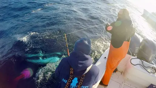 Pêche à haut risque : Nord contre Sud E09 Rapides comme l'éclair