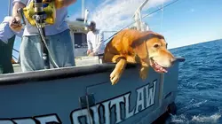 Pêche à haut risque : Nord contre Sud E12 Le mal du pays