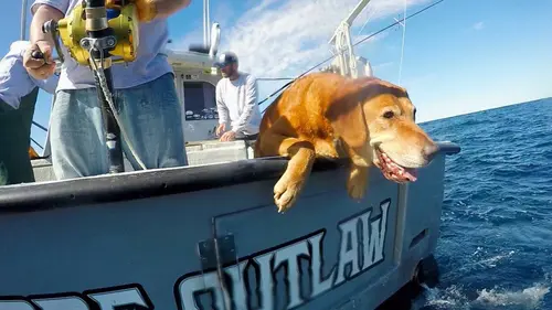 Pêche à haut risque : Nord contre Sud E12 Le mal du pays