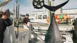 Pêche à haut risque : Nord contre Sud S07E12 A la traîne