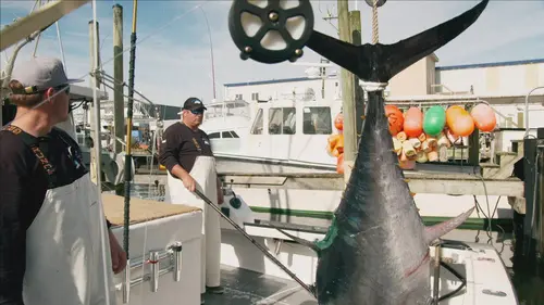 Pêche à haut risque : Nord contre Sud S07E12 A la traîne