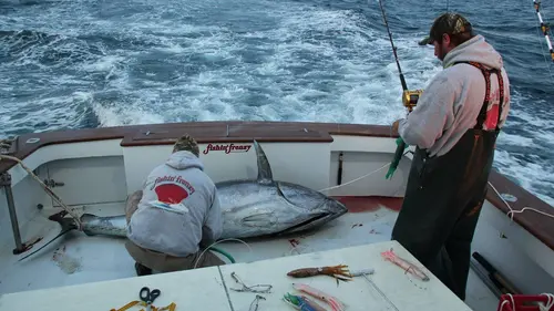 Pêche à haut risque : Nord contre Sud E06 Thon solitaire