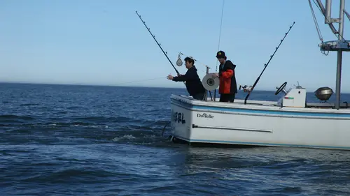 Casting Pêche à haut risque : Nord contre Sud E08 À pleines dents