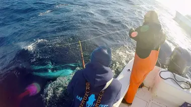 Pêche à haut risque : Nord contre Sud E09 Rapides comme l'éclair