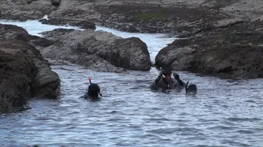 Pêche en eaux troubles