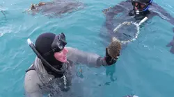 Pêche en eaux troubles S02E01