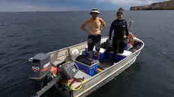 Pêche en eaux troubles