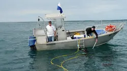 Pêche en eaux troubles