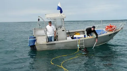 Pêche en eaux troubles S02E01