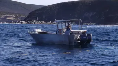 Pêche en eaux troubles S03E03
