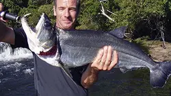 Visuel de Pêche extrême avec Robson Green