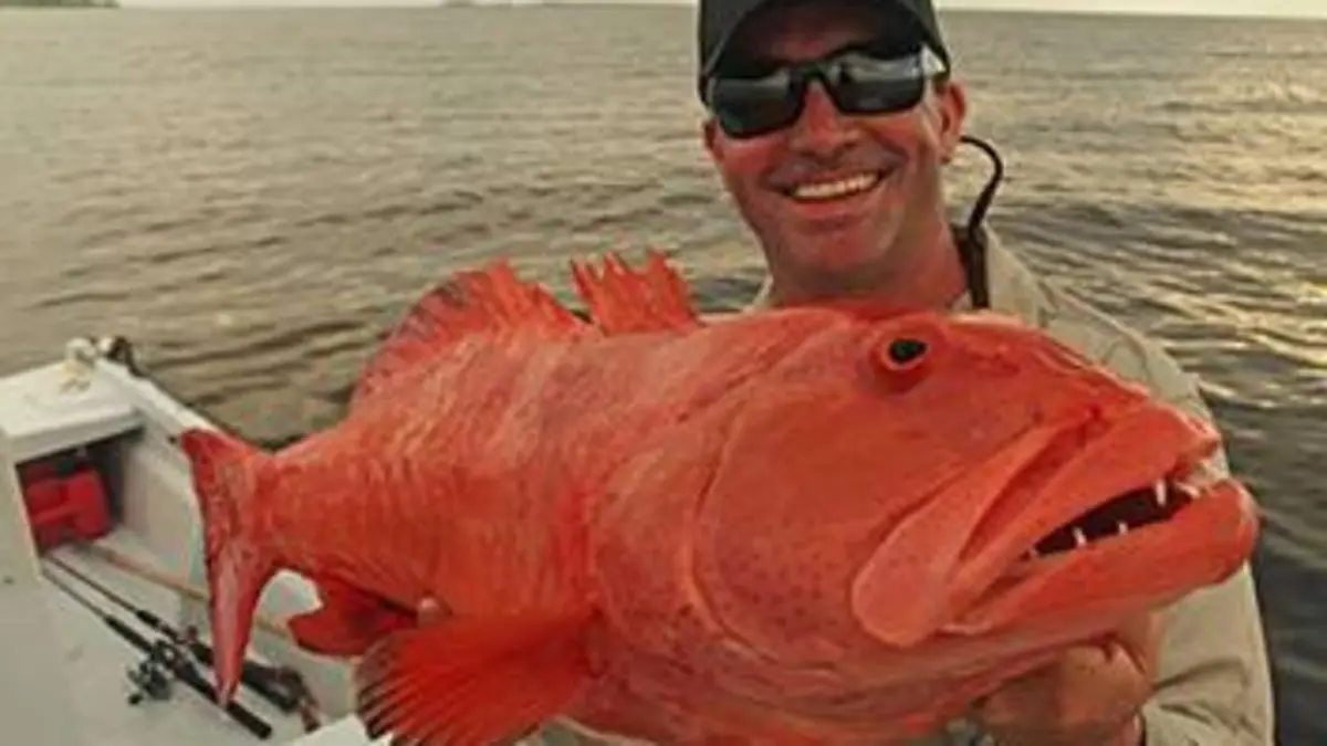 Pêche XXL S04E07 Quête du poisson-roi de Gaspésie
