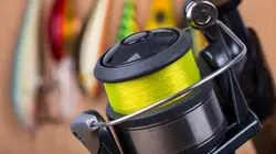 Pêche XXL Encerclé par les requins