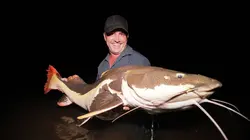 Pêche XXL Féroce bataille en eaux troubles