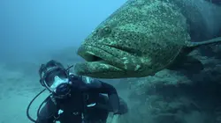 Pêche XXL  Disparitions... fatales