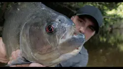 Casting Pêche XXL Le dévoreur de l'Amazone