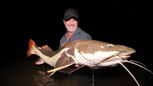 Pêche XXL Féroce bataille en eaux troubles
