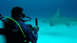 Pêche XXL Bêtes préhistoriques