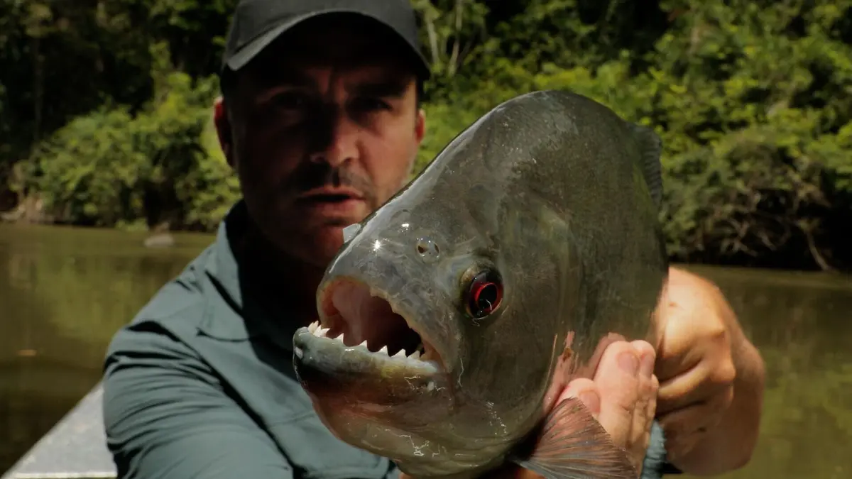 Visuel de Pêche XXL Combat à mains nues