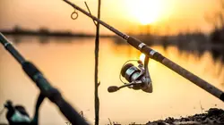 Pêche XXL : Derniers géants