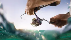 Pêche XXL : Derniers géants